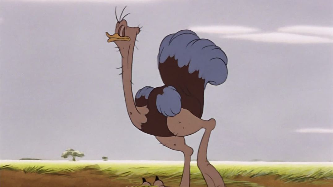 ⁣Aventura Disney na América do Sul com Pato Donald, Pateta e Zé Carioca.